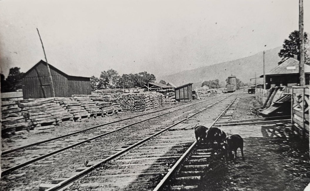 Logging railroad yard in the Boston Mountains, early 1900s